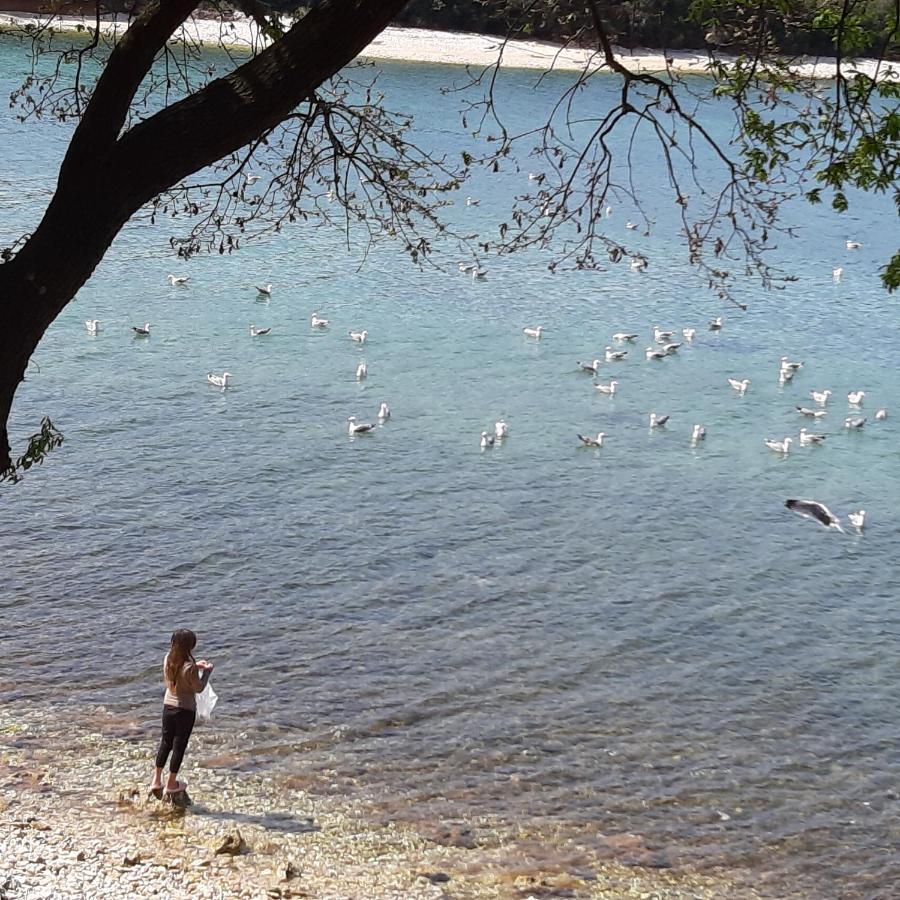 Grand Veles Camp Otel Banjole Dış mekan fotoğraf
