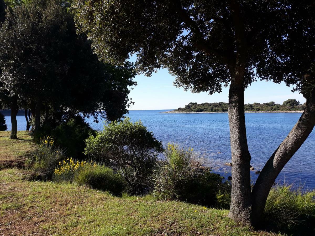 Grand Veles Camp Otel Banjole Dış mekan fotoğraf