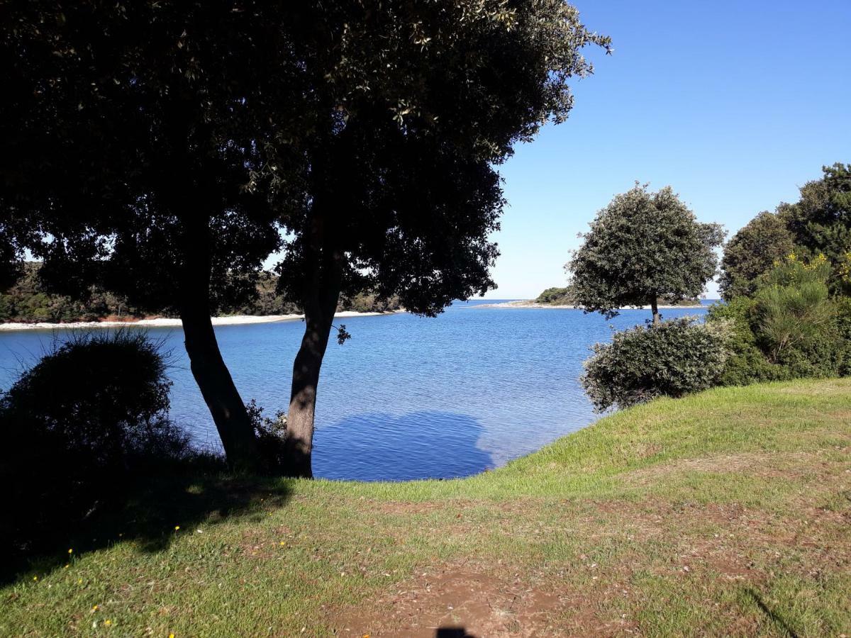Grand Veles Camp Otel Banjole Dış mekan fotoğraf