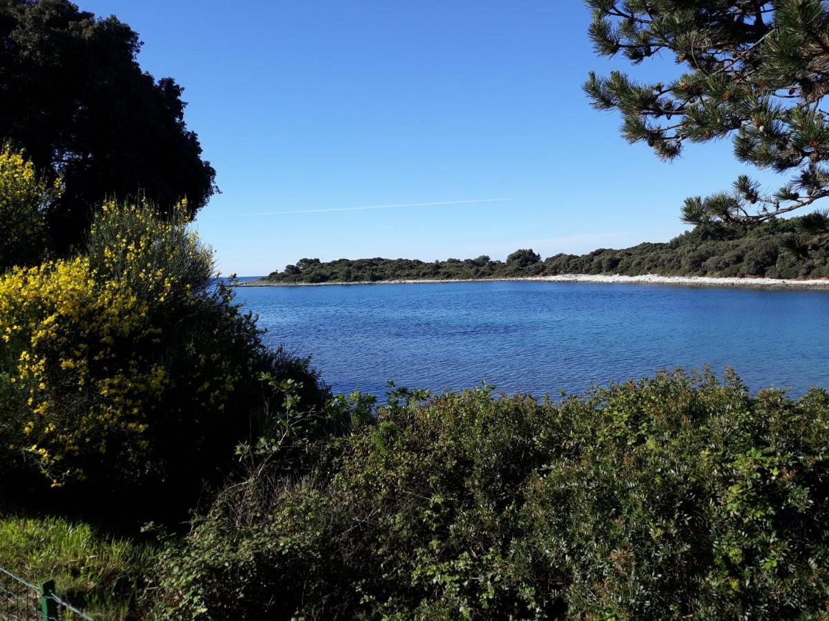 Grand Veles Camp Otel Banjole Dış mekan fotoğraf